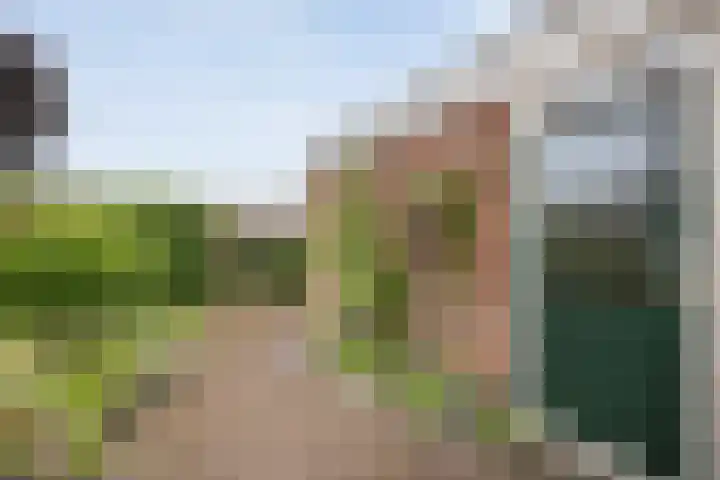 Magelerweg 46 Den Ham thumbnail 39