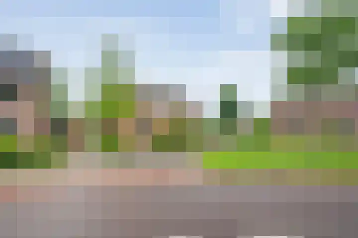 Magelerweg 46 Den Ham thumbnail 4