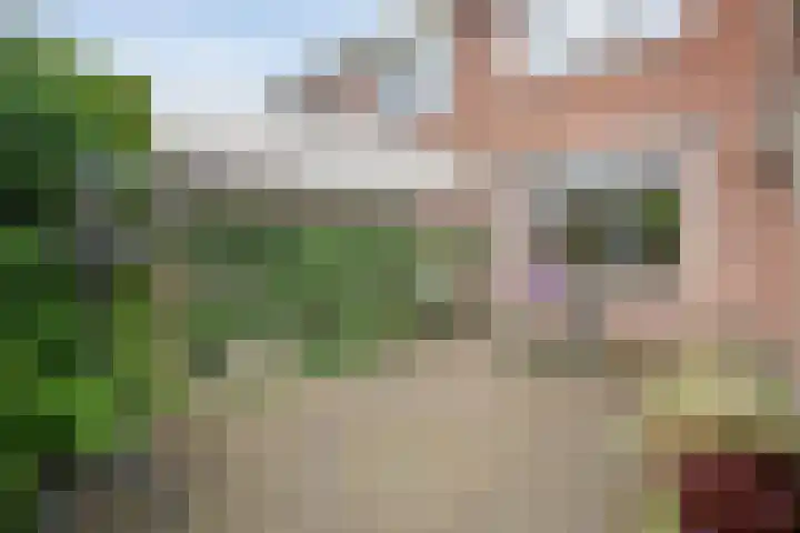 Magelerweg 46 Den Ham thumbnail 40