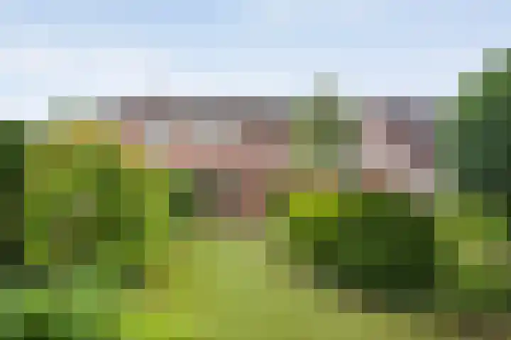 Magelerweg 46 Den Ham thumbnail 42