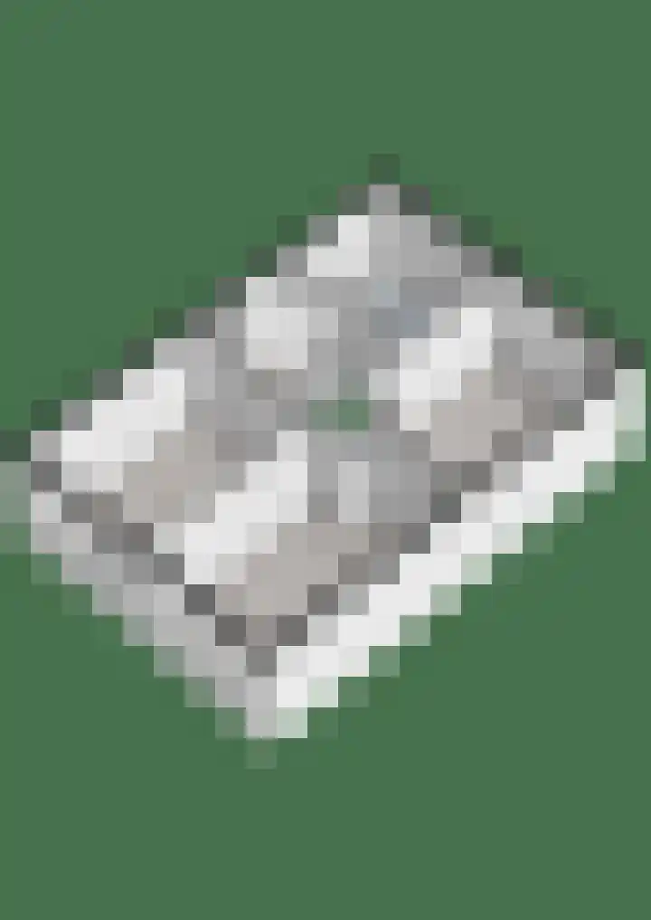 Magelerweg 46 Den Ham thumbnail 47