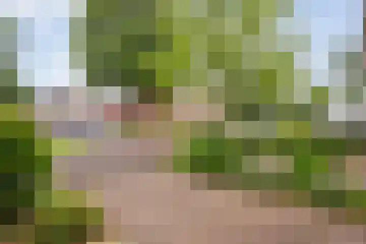 Magelerweg 46 Den Ham thumbnail 5