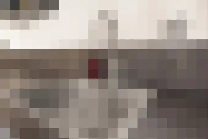 Magneetveld 43 Almere thumbnail 10
