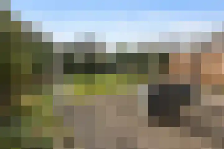 Magneetveld 43 Almere thumbnail 30