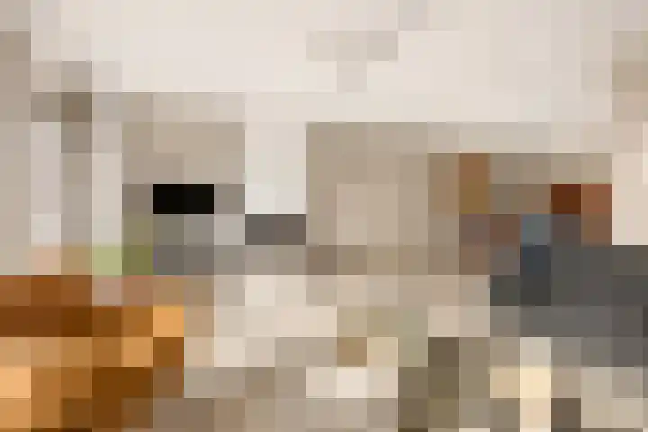 Magneetveld 43 Almere thumbnail 5