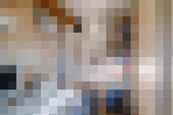 Magninstraat 2 Veendam thumbnail 23
