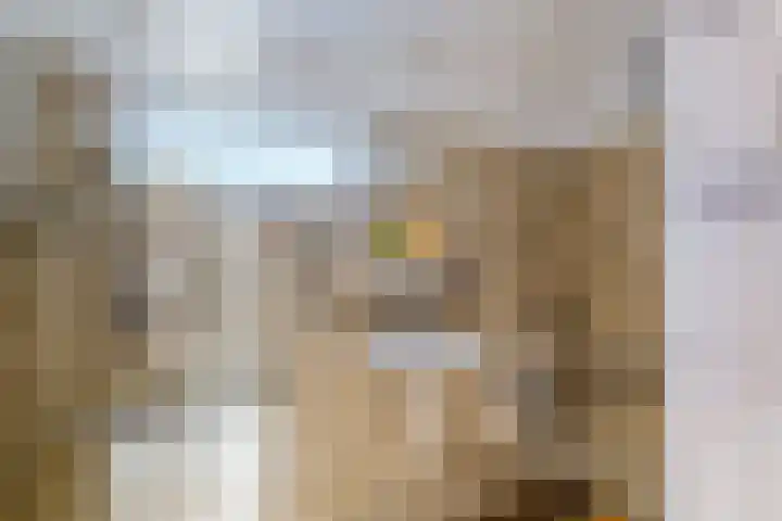 Magninstraat 2 Veendam thumbnail 24