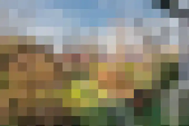 Magninstraat 2 Veendam thumbnail 36