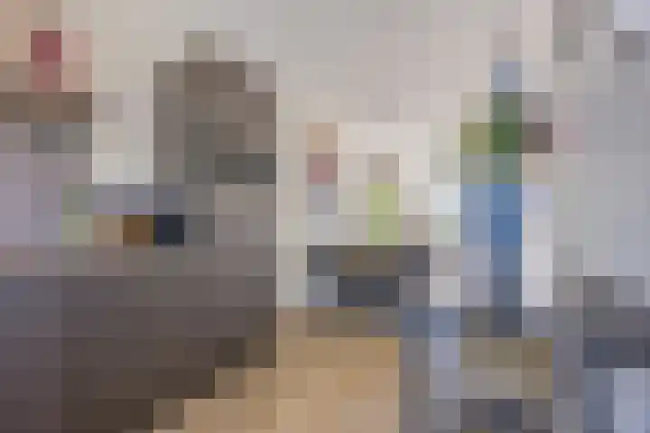 Magnolia 17 Best thumbnail 13