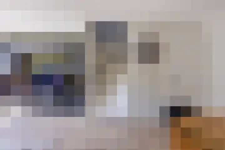 Magnolia 17 Best thumbnail 16