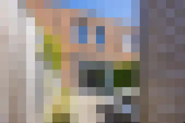 Magnolia 17 Best thumbnail 30