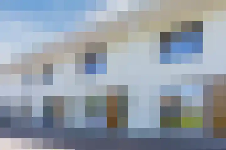 Magnolia 17 Best thumbnail 31