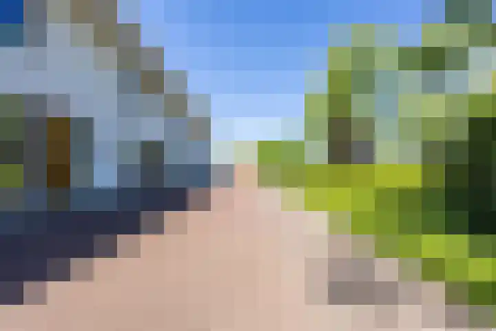 Magnolia 17 Best thumbnail 32