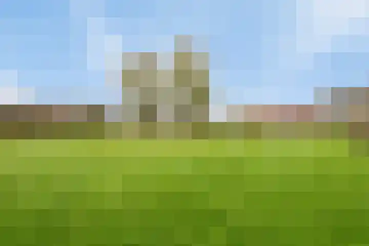 Magnolia 17 Best thumbnail 36