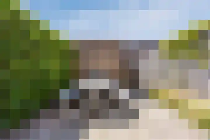 Magnolia 17 Best thumbnail 6