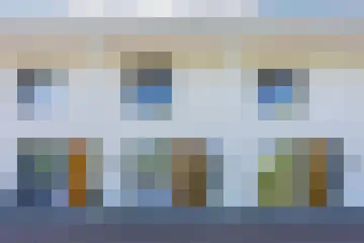 Magnolia 17 Best thumbnail 7
