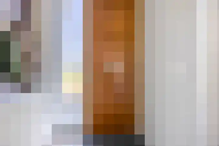 Magnolia 17 Best thumbnail 8