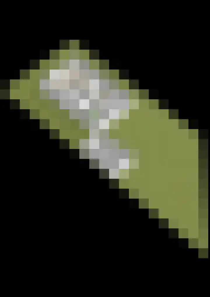 Magnolia 40 Halsteren thumbnail 53