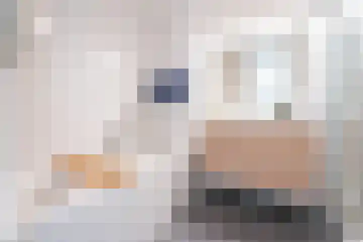 Magnoliaerf 24 Tilburg thumbnail 17