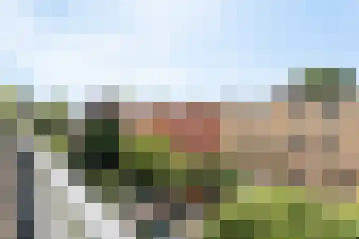 Magnoliaerf 24 Tilburg thumbnail 26