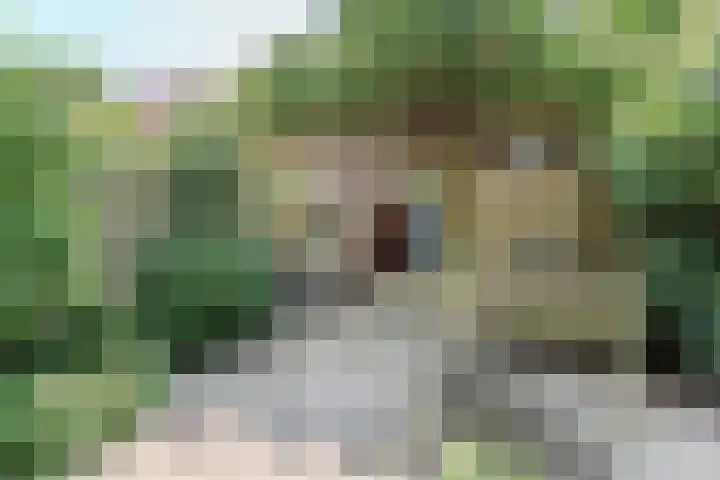 Magnoliaerf 24 Tilburg thumbnail 27
