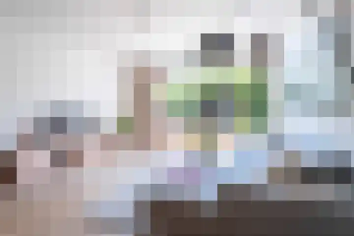 Magnoliaerf 24 Tilburg thumbnail 9