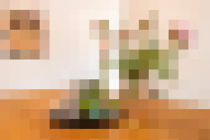 Magnoliaerf 62 Tilburg thumbnail 13