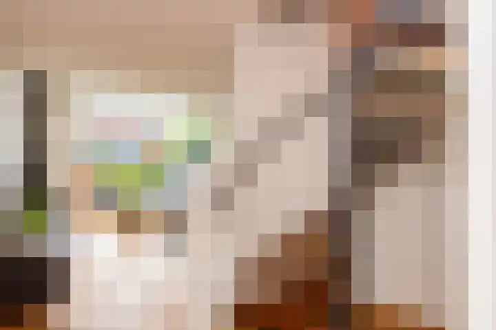 Magnoliaerf 62 Tilburg thumbnail 15