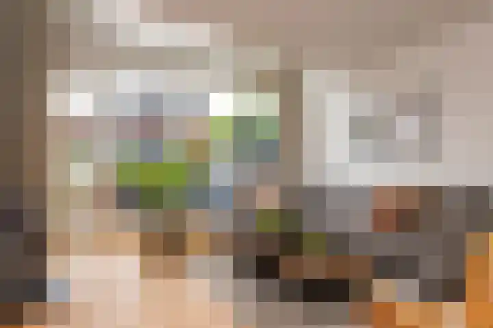 Magnoliaerf 62 Tilburg thumbnail 17