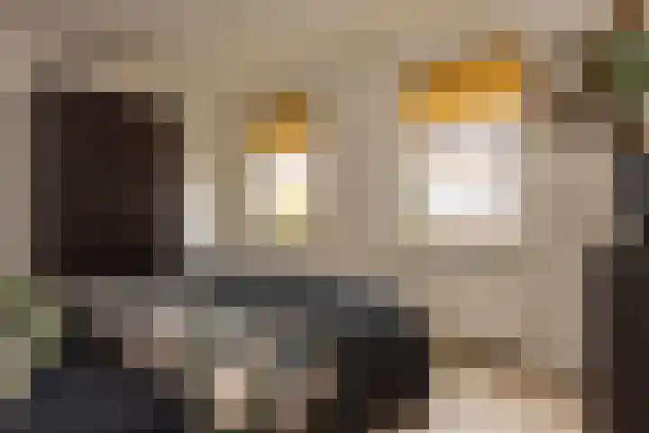 Magnoliaerf 62 Tilburg thumbnail 32