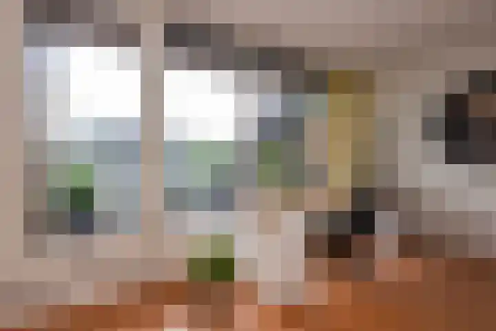 Magnoliaerf 62 Tilburg thumbnail 43
