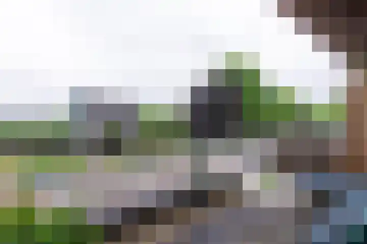 Magnoliaerf 62 Tilburg thumbnail 46