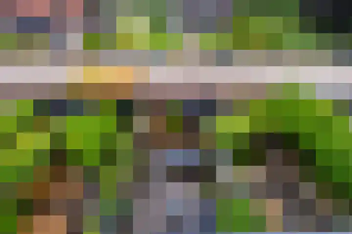Magnoliaerf 62 Tilburg thumbnail 48