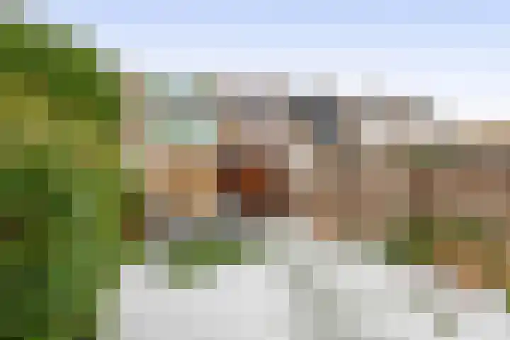 Magnolialaan 13 Pijnacker thumbnail 10