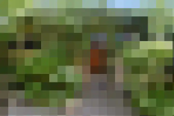 Magnolialaan 18 Pijnacker thumbnail 10