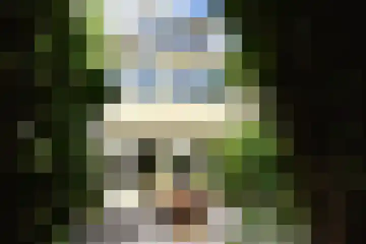 Magnolialaan 18 Pijnacker thumbnail 13