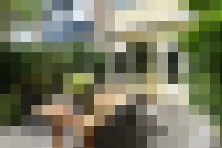 Magnolialaan 18 Pijnacker thumbnail 14