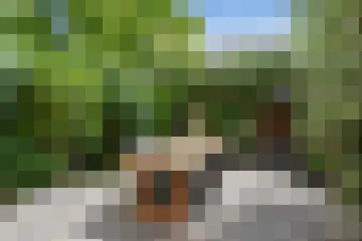 Magnolialaan 18 Pijnacker thumbnail 8