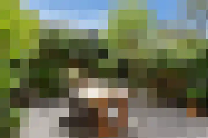 Magnolialaan 18 Pijnacker thumbnail 9