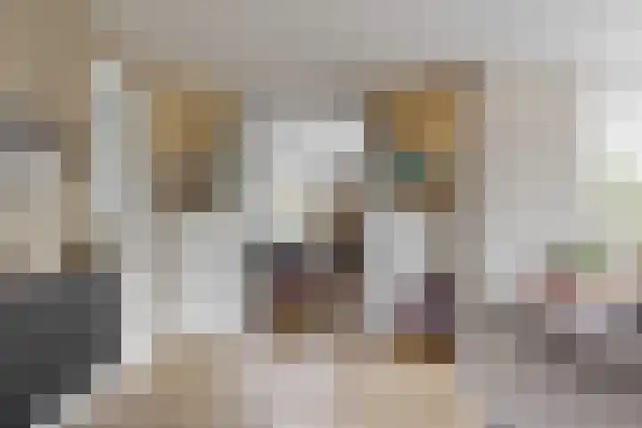 Magnolialint 23 Limmen thumbnail 18