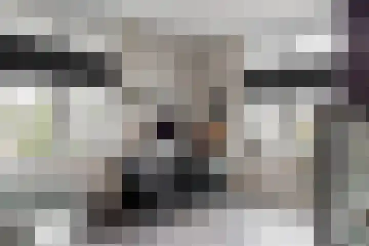 Magnolialint 23 Limmen thumbnail 37