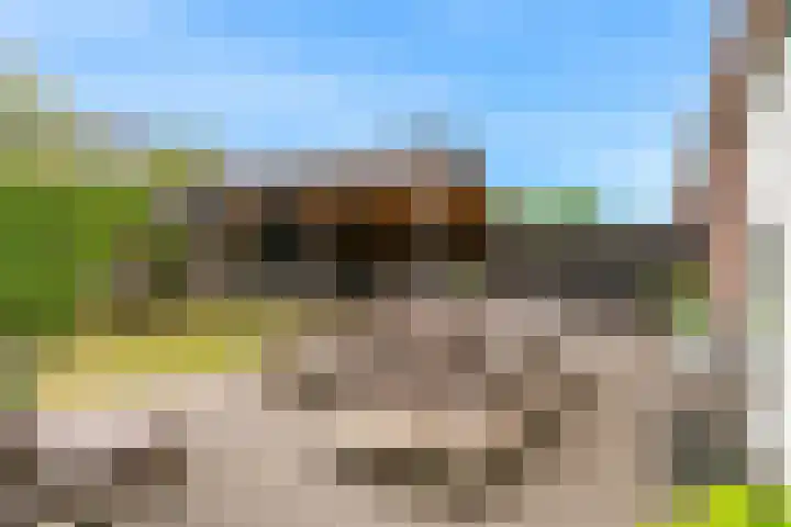 Magnolialint 23 Limmen thumbnail 4