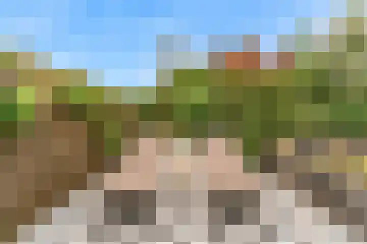 Magnolialint 23 Limmen thumbnail 60