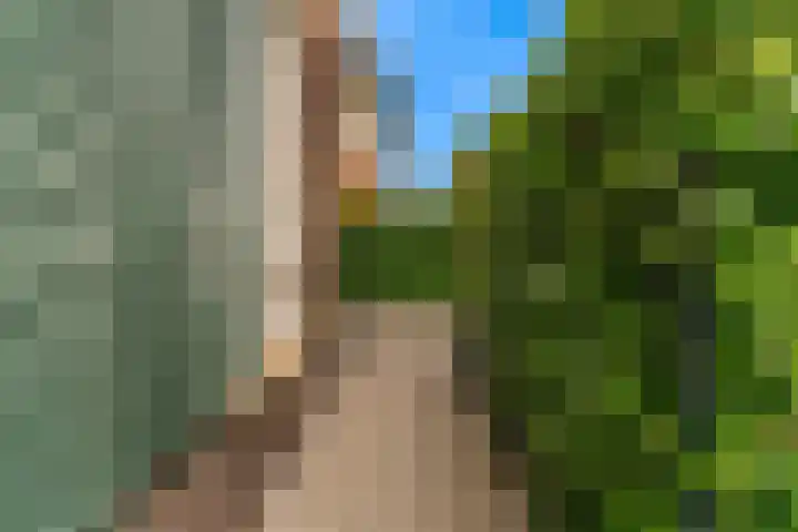 Magnolialint 23 Limmen thumbnail 64