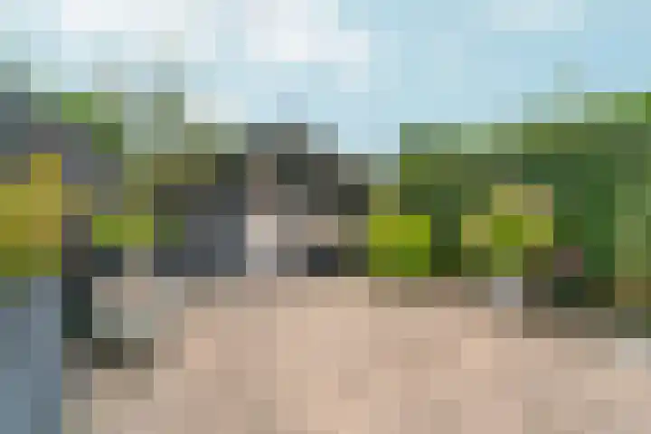Magnoliaplein 7 Arnhem thumbnail 34