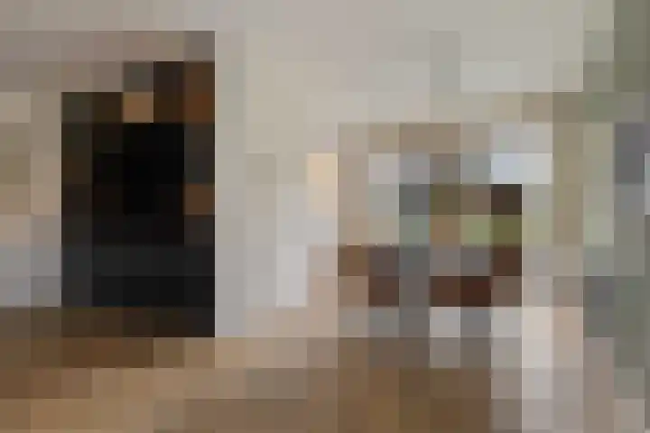 Magnoliastraat 3 Borne thumbnail 15