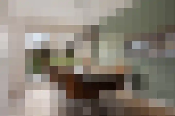 Magnoliastraat 3 Borne thumbnail 17