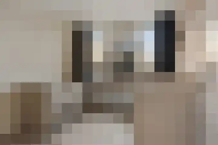 Magnoliastraat 3 Borne thumbnail 26