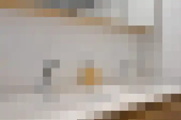 Magnoliastraat 3 Borne thumbnail 35
