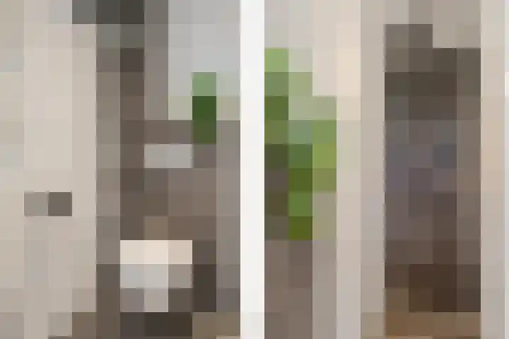 Magnoliastraat 3 Borne thumbnail 36